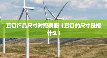 耳钉饰品尺寸对照表图（耳钉的尺寸是指什么）