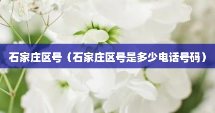 石家庄区号（石家庄区号是多少电话号码）