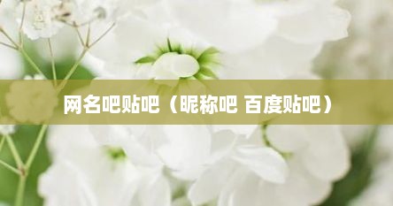 网名吧贴吧（昵称吧 百度贴吧）