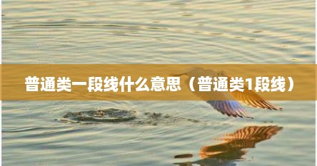 普通类一段线什么意思（普通类1段线）