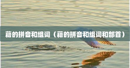 藉的拼音和组词（藉的拼音和组词和部首）
