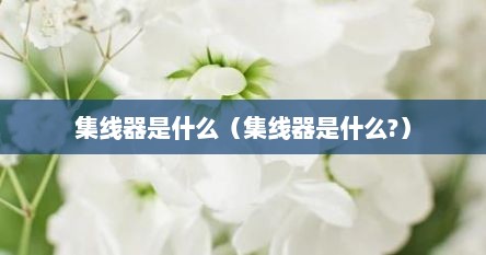 集线器是什么（集线器是什么?）