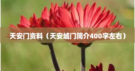 天安门资料（天安城门简介400字左右）