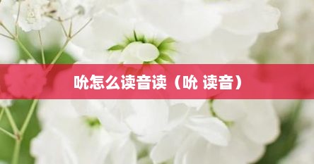 吮怎么读音读（吮 读音）