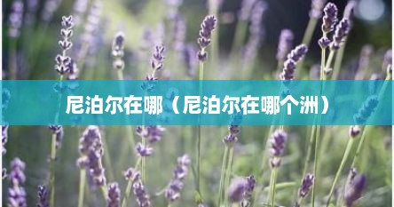 尼泊尔在哪（尼泊尔在哪个洲）