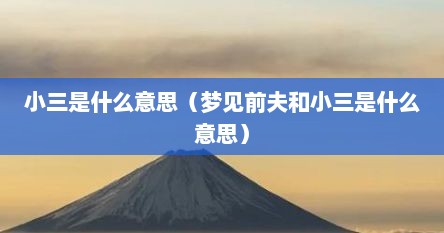小三是什么意思（梦见前夫和小三是什么意思）