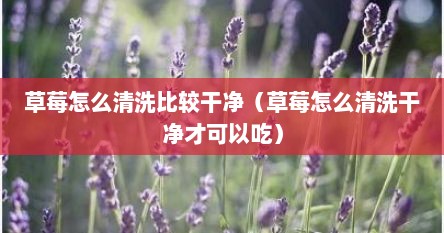 草莓怎么清洗比较干净（草莓怎么清洗干净才可以吃）