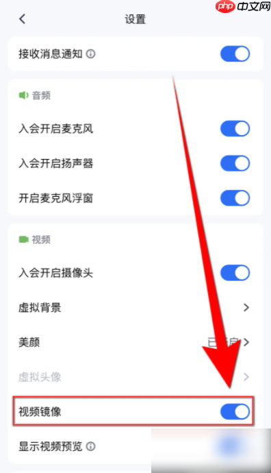 腾讯视频会议如何设置镜像 怎么设置腾讯会议视频镜像启用