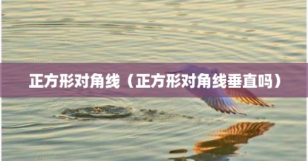 正方形对角线（正方形对角线垂直吗）