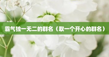 霸气独一无二的群名（取一个开心的群名）