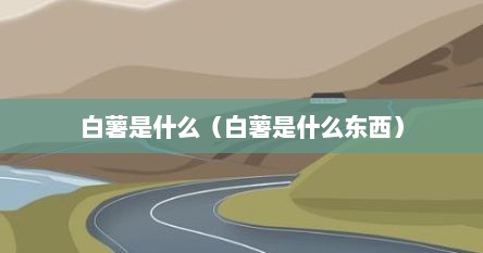 白薯是什么（白薯是什么东西）