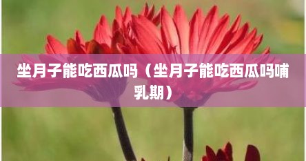 坐月子能吃西瓜吗（坐月子能吃西瓜吗哺乳期）