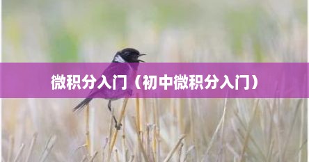 微积分入门（初中微积分入门）