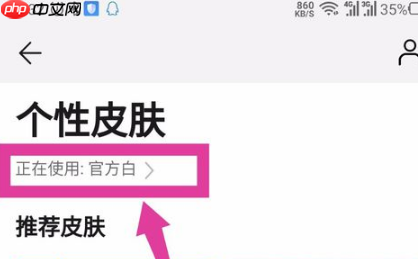 华为音乐怎么设置自定义皮肤?华为音乐设置自定义皮肤的方法