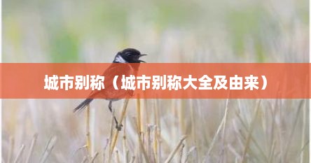 城市别称（城市别称大全及由来）