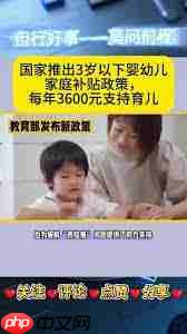 国家育儿补贴官网入口在哪