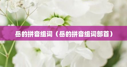 岳的拼音组词（岳的拼音组词部首）