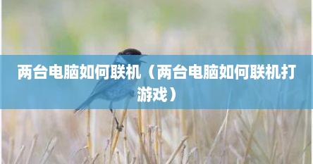 两台电脑如何联机（两台电脑如何联机打游戏）