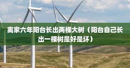 离家六年阳台长出两棵大树（阳台自己长出一棵树是好是坏）