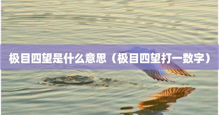 极目四望是什么意思（极目四望打一数字）