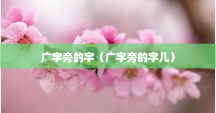 广字旁的字（广字旁的字儿）