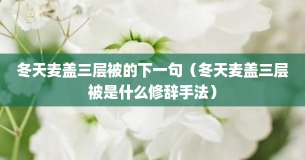 冬天麦盖三层被的下一句（冬天麦盖三层被是什么修辞手法）