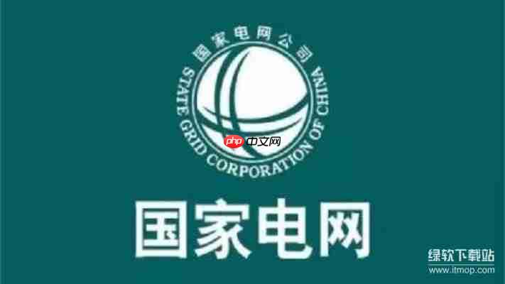 i国网pc端官网网址获取与操作步骤详解