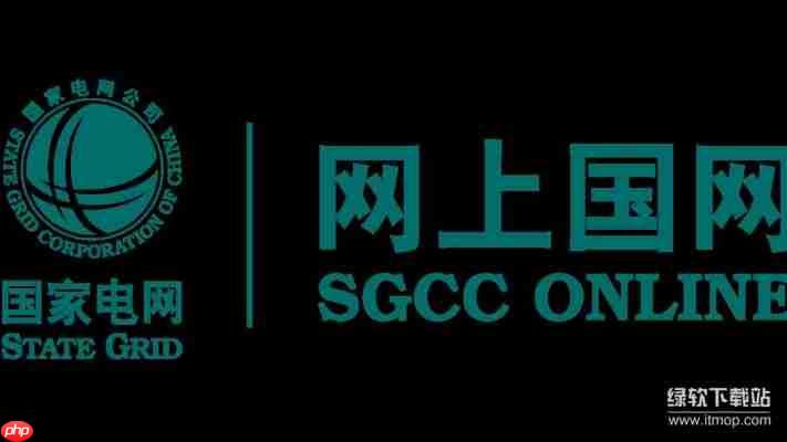i国网pc端官网网址获取与操作步骤详解