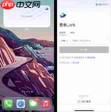 Lark登录后页面空白的原因是什么