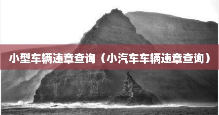 小型车辆违章查询（小汽车车辆违章查询）