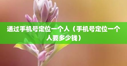 通过手机号定位一个人（手机号定位一个人要多少钱）