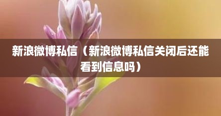 新浪微博私信（新浪微博私信关闭后还能看到信息吗）