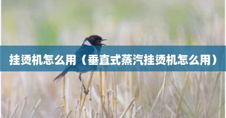 挂烫机怎么用（垂直式蒸汽挂烫机怎么用）