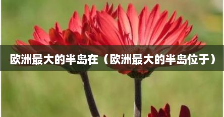 欧洲最大的半岛在（欧洲最大的半岛位于）