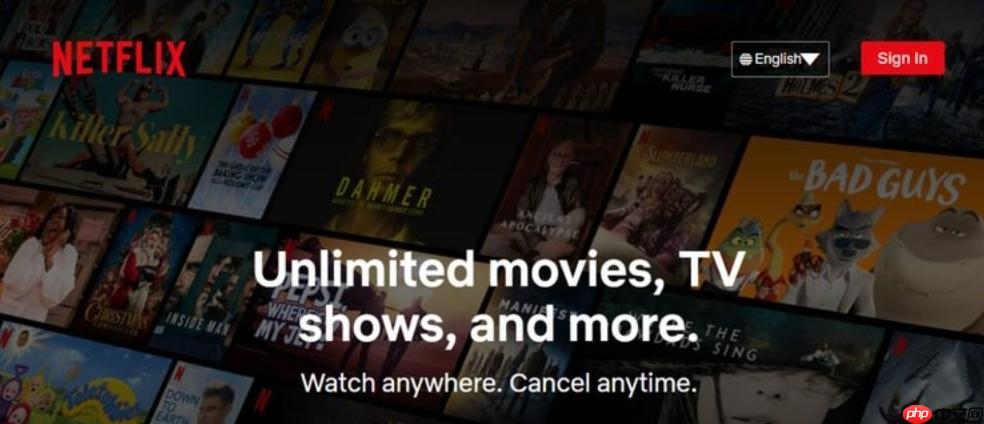 netflix官网入口安卓 netflix安卓官网进入地址
