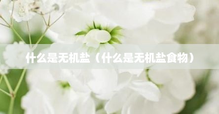 什么是无机盐（什么是无机盐食物）