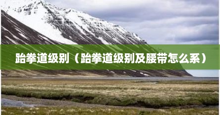 跆拳道级别（跆拳道级别及腰带怎么系）