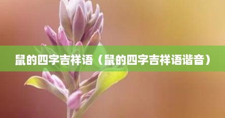 鼠的四字吉祥语（鼠的四字吉祥语谐音）