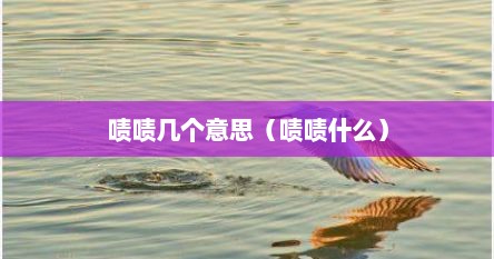 啧啧几个意思（啧啧什么）