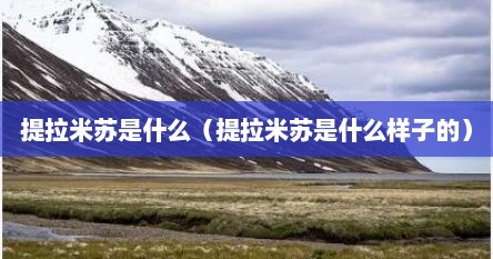 提拉米苏是什么（提拉米苏是什么样子的）