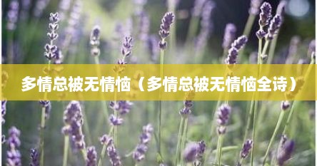 多情总被无情恼（多情总被无情恼全诗）