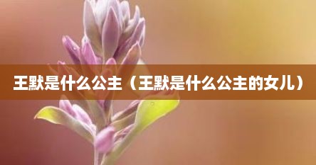 王默是什么公主（王默是什么公主的女儿）