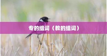 专的组词（教的组词）