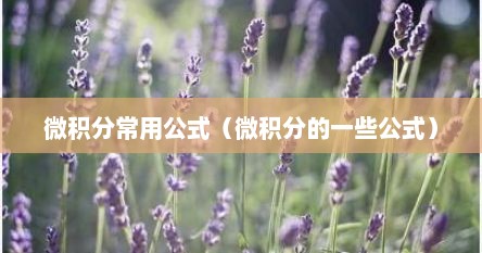 微积分常用公式（微积分的一些公式）