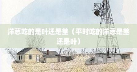 洋葱吃的是叶还是茎（平时吃的洋葱是茎还是叶）