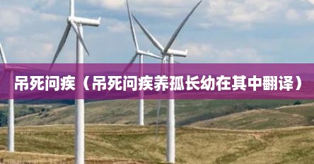 吊死问疾（吊死问疾养孤长幼在其中翻译）