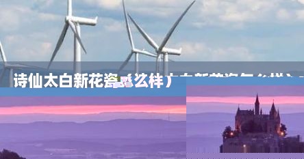 诗仙太白新花瓷（诗仙太白新花瓷怎么样）