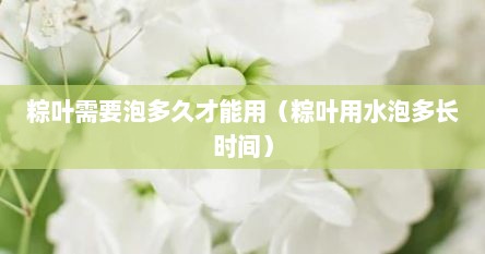 粽叶需要泡多久才能用（粽叶用水泡多长时间）