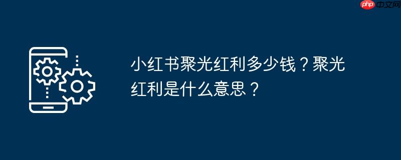 小红书聚光红利多少钱?聚光红利是什么意思?