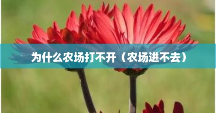 为什么农场打不开(农场进不去)